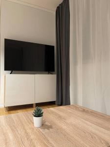 sala de estar con TV y maceta en Modern Urban Retreat, en Pratteln