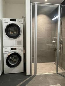 zwei Waschmaschinen und eine Dusche im Bad in der Unterkunft Modern Urban Retreat in Pratteln