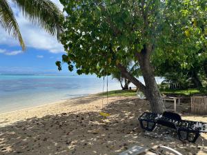 a swing hanging from a tree on a beach at Maison Moehau Iti in Moorea