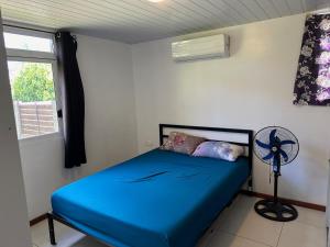 Ένα ή περισσότερα κρεβάτια σε δωμάτιο στο Maison Moehau Iti +26 φωτογραφίες