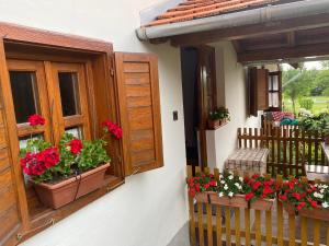 uma casa com vasos de flores na janela e uma varanda em Csörgő Vendégházak em Szalafő