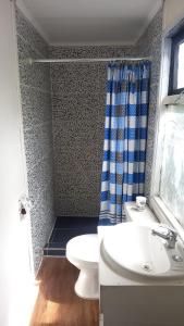 a bathroom with a toilet and a sink and a shower at Cabaña Cony in Puerto Natales