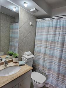 a bathroom with a toilet and a sink and a shower at Espectacular Bahía Bonita Depto 12 in Concón