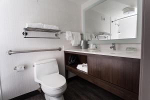 a bathroom with a toilet and a sink and a mirror at Holiday Inn Grand Rapids Downtown, an IHG Hotel in Grand Rapids