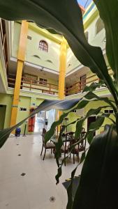 une plante au milieu d'une pièce avec des chaises dans l'établissement Hotel Barranquilla Inn, à Barranquilla