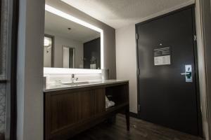 La salle de bains est pourvue d'un lavabo et d'un grand miroir. dans l'établissement Holiday Inn Grand Rapids Downtown, an IHG Hotel, à Grand Rapids