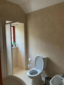 a bathroom with a toilet and a sink at Casa da Carvalha - Loriga in Loriga