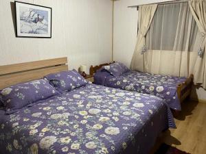 1 dormitorio con 2 camas y ventana en La posada del turista, en llifen