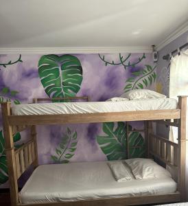 Hostal Casa Macondo في سانتا مارتا: غرفة نوم مع سريرين بطابقين مع ورق جدران استوائي