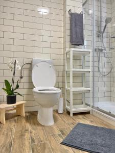 a bathroom with a white toilet and a shower at Terracotta Apartment - Zentral, Parken, Netflix, Kontaktloses Einchecken, Kingsize-Bett in Wuppertal