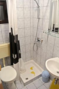 a bathroom with a shower with a toilet and a sink at Apartments Cosic in Igrane