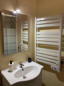 的住宿－Monolocali del Montecontessa by SMART-HOME，一间带水槽和镜子的浴室
