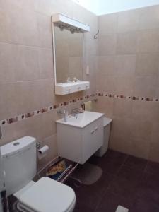 een badkamer met een toilet, een wastafel en een spiegel bij DAS THOMY II in Cordoba