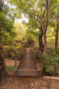 a wooden bridge in the middle of a forest at Cabaña Ecoturistica Mirador del Bosque Tayrona in Calabazo