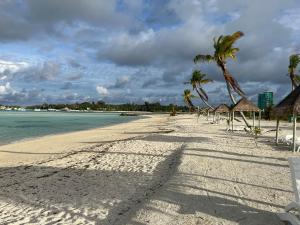 una spiaggia con palme, ombrelloni e l'oceano di Konut by Thakuru a Guraidhoo