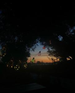 una vista de la puesta de sol desde debajo de un árbol con luces en Violet Village, en Borsh