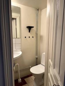 a white bathroom with a toilet and a sink at Lägenhet i centrala Stockholm in Stockholm