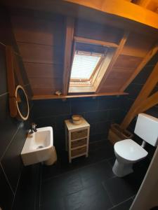uma pequena casa de banho com lavatório e WC em Zilverzoen Slapen em Elburg