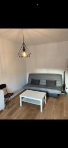 a living room with a couch and a coffee table at Studio tout confort cité de la gastronomie (4) in Dijon