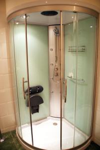 a shower with a glass enclosure in a bathroom at Chez Catharina Oldtimer B&B in Levoncourt +47 photos