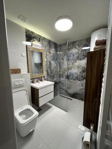 a bathroom with a toilet and a sink and a shower at Golden Gondola Tornik in Zlatibor