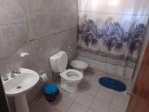a bathroom with a toilet sink and a shower curtain at Hermosa Cabaña Duplex Malargüe. in Malargüe