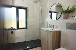 bagno con doccia, lavandino e specchio di The Village Inn a Killarney