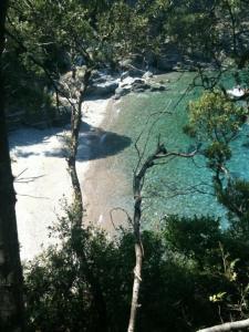 a view of a beach with water and trees at Casa Porticciolo in Rio Marina