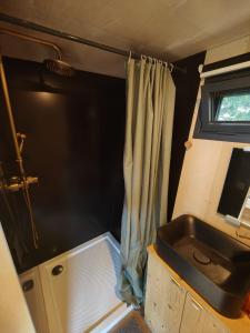 a small bathroom with a sink and a shower at Tiny House MOOSE HOME Les Chaumes in Les Ancizes-Comps