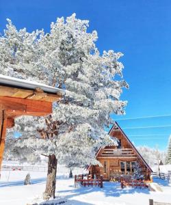 a snow covered tree in front of a log cabin at Bobbie's Cottage - Bobijeva Vikendica in Antonići