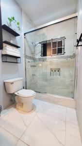 a bathroom with a toilet and a glass shower at The shores in Montego Bay