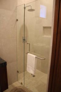 W łazience znajduje się prysznic ze szklanymi drzwiami. w obiekcie Departamento entero de lujo w mieście Los Mochis