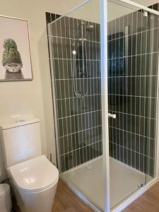 a bathroom with a toilet and a glass shower at Straw House Farm - STANTHORPE in Dalveen
