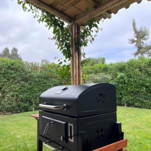 - un barbecue assis sur un banc sous un kiosque dans l'établissement Casa de campo en Asia, à Asia