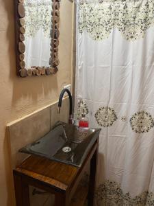 a bathroom with a sink and a shower curtain at El Cortijo Tinogasta in Tinogasta