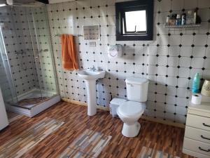 uma casa de banho com um WC e um lavatório em Cabañas Rogelio em Liquiñe