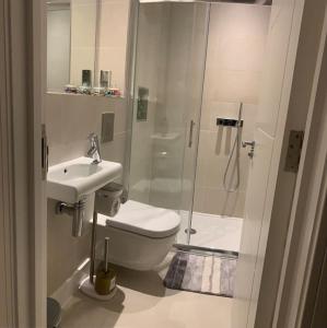 een badkamer met een douche, een toilet en een wastafel bij Spacious & light 2bed, 2bath in the heart of Windsor in Windsor
