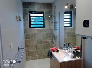 a bathroom with a sink and a shower at Le Long island in Rivière-Pilote +4 photos