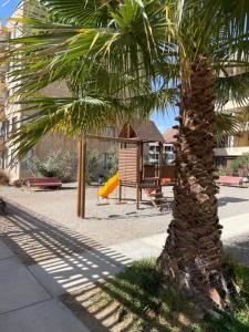 una palmera y un parque infantil en Depto portal del sol, en Arica