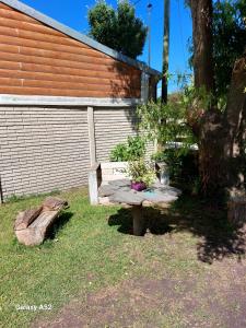 Zahrada ubytování Turismo Salvaje + 28 fotografií