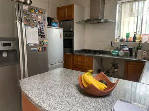 eine Schale Bananen auf einer Theke in einer Küche in der Unterkunft BBCasita Las Condes in Santiago