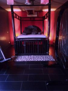 a cat sitting on a chair in a room at VIP Design Apartment m. Dachterrasse in Dresden