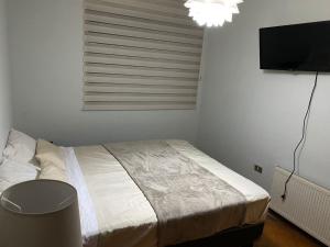 Schlafzimmer mit einem Bett und einem Flachbild-TV in der Unterkunft BBCasita Las Condes in Santiago