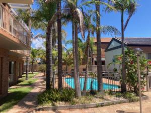 een zwembad met palmbomen voor een huis bij Beaches 9 in Merimbula