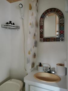 Un baño con lavabo, espejo e inodoro. en Pasa una noche en el Bosque de Chapultepec, en Ciudad de México