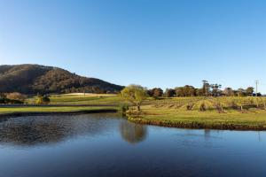 a lake with a tree in the middle of a field at Coolangatta Estate Shoalhaven Heads in Berry