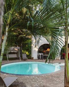 a swimming pool with a palm tree next to it at Jacaranda Lodge in Victoria Falls