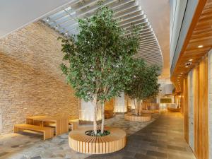 仙台的住宿－The OneFive Sendai，走廊上的两棵树,有长椅和砖墙