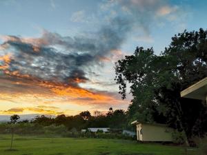 einen Sonnenuntergang über einem Feld mit einem Haus und einem Baum in der Unterkunft ENCANTADORA CABAÑA DEL BOSQUE in San José