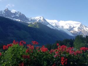 a mountain range with red flowers and snow covered mountains at Edelweiss Yoga Chalet in Chamonix